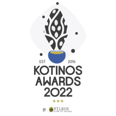 Золотая награда в международном конкурсе KOTINOS 2022