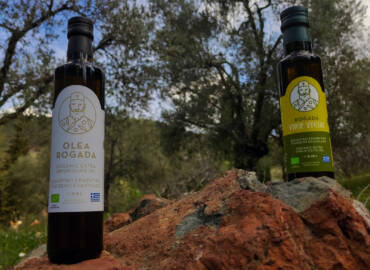 Новый взгляд на наше органическое оливковое масло