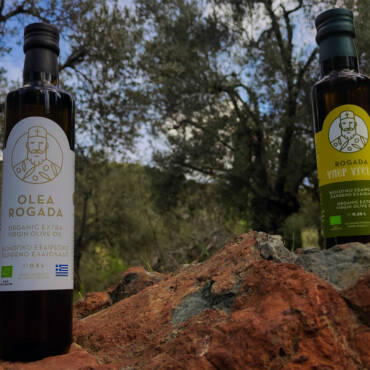 New look for our organic olive oil